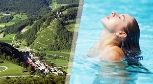 KOZJANSKI DVOR 3*: 2 dana/ 1 noćenje za DVOJE s doručkom, WELLNESS paketom (90 min sauna/dan), MASAŽAMA od 40 min i hranjenjem JELENA na Jelenovom grebenu – savršen BIJEG u Sloveniju!