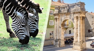 Doživite JUG ISTRE uz Smart Travel! Čaroban dan u Puli uz veličanstvenu Arenu i očaravajuće ljepote Nacionalnog parka Brijuni uz uključen autobusni PRIJEVOZ. Ne propustite ovaj nezaboravan izlet!
