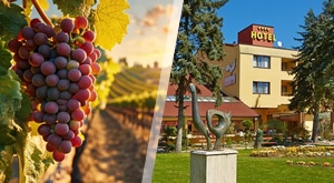 [12.08. - 13.08.] LAST MINUTE Tradicionalna BERBA vinograda u Podravini! Doživite odmor za dvoje u Hotelu Picok uz 1 noćenje s DORUČKOM, posjet Vinariji Jušta i đurđevačke ATRAKCIJE!