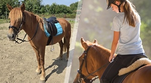 JAHAČKA AVANTURA kroz netaknutu prirodu uz rijeku Kupu – 2 sata terenskog jahanja za 1 osobu u organizaciji udruge ŠAPAT KONJA s kratkom obukom, zaštitnom OPREMOM I PRATNJOM trenera!