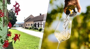 [13. - 14. 11.]Proslavite MARTINJE sa stilom u Zlatnom Lugu! Vinski vikend za DVOJE uz 1 noćenje s DORUČKOM, svečanu večeru, živu GLAZBU, opuštanje u SPA zoni te ulaznice za Papuk i Muzej bećarca!