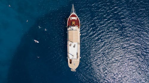 8-dnevno krstarenje sjevernim Jadranom - Polazak iz Rijeke, Rijeka, Hrvatska - 699 EUR - 8-dnevno krstarenje brodom po ruti R1: Rijeka – otok Krk – otok Rab – Zadar – Nacionalni park Kornati – zadarski arhipelag – otok Lošinj – otok Cres – Rijeka, 7x noćenje u dvokrevetnoj kabini (klima, kupaonica) na brodu Comfort Plus kategorije – Sveti Vid, Kazimir ili Planka za 1 osobu