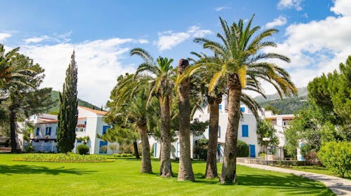 Hotel Slovenska plaža - Početak i kraj ljeta u Budvi, Budva, Crna Gora - 523 EUR - 3x noćenje u Standard dvokrevetnoj sobi s dodatnim ležajem i balkonom za 3 osobe, Polupansion (buffet doručak i večera)