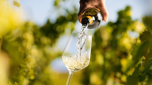 Hotel Rezidenca Ortus - Proljetni ili jesenski odmor uz vinsko iskustvo na slovenskoj obali, Ankaran, Slovenija - 379 EUR - 2x noćenje u dvokrevetnoj sobi za 2 osobe, Polupansion
