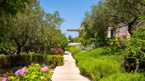 Aminess Vival Velaris Resort - Obiteljski odmor na Braču, Supetar, otok Brač, Dalmacija, Hrvatska - 249 EUR - 2x noćenje u dvokrevetnoj Superior sobi s balkonom (pogled park) za 2 osobe (1 dijete do 9,99 godina besplatno), Polupansion