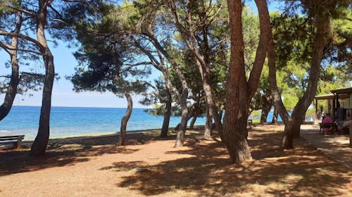 Youth Hostel Pinesta - Last minute ljeto u Novigradu, Novigrad, Istra, Hrvatska - 147 EUR - 2x noćenje u dvokrevetnoj twin sobi (s jednostrukim krevetima) za 2 osobe, Doručak