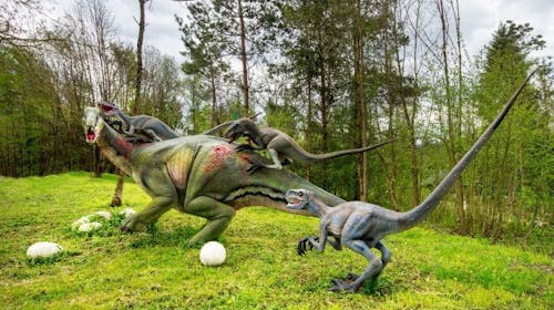 Dinopark Bled - Ulaznica za djecu, Lesce, Slovenija - 6,30 EUR - 1x ulaznica za Dinopark za 1 dijete (djeca od 3 do 15 godina), Korištenje 6D Dinokina