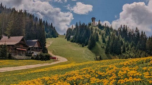 Blanca Resort & Spa - Ljetni wellness odmor na Vlašiću , Vlašić, Bosna i Hercegovina - 76 EUR - 1x noćenje u Standard sobi za 2 osobe (1 dijete do 6 godina besplatno), Doručak