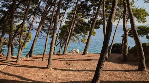 Sagitta Holiday Resort - Obiteljsko ljeto u Omišu - Superior obiteljski apartman, Omiš, Dalmacija, Hrvatska - 560 EUR - 3x noćenje u Superior obiteljskom apartmanu s bočnim pogledom na more i balkonom (2+2) za 2 osobe (2 djece do 13,99 godina i 1 dijete do 7,99 godina besplatno), All inclusive