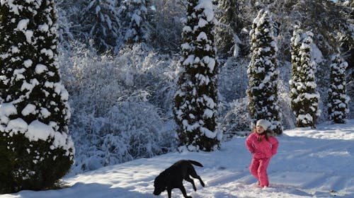 Landidyll Hotel Nudelbacher - Zimski odmor u Kärntenu, Feldkirchen in Kärnten, Austrija - 389 EUR - 3x noćenje u dvokrevetnoj sobi s balkonom za 2 osobe, Polupansion