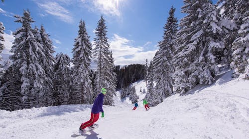Wellness hotel Montis - First minute skijanje & wellness na Goltama, Mozirje, Slovenija - 378 EUR - 2x noćenje u Superior dvokrevetnoj sobi za 2 osobe, Polupansion