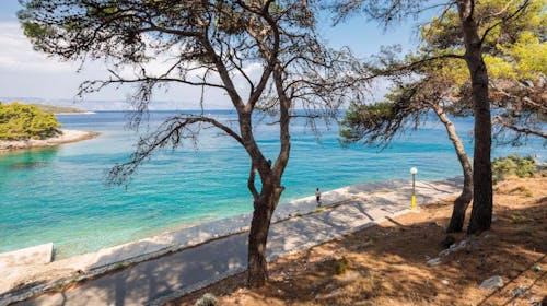 Fontana Resort - Savršen ljetni odmor na Hvaru, Jelsa, Hrvatska - 450 EUR - 3x noćenje u Maestral dvokrevetnoj Classic sobi s klimom, balkonom ili terasom (okrenute prema moru) za 2 osobe, Polupansion