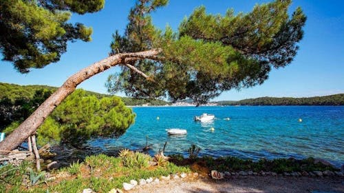 Camping Village Poljana - Mobilna kućica - Last minute odmor na Malom Lošinju, Mali Lošinj, Hrvatska - 180 EUR - 2x noćenje u mobilnoj kućici Bellavista za 4 osobe (1 dijete do 11,99 godina besplatno), Korištenje struje, plina i vode