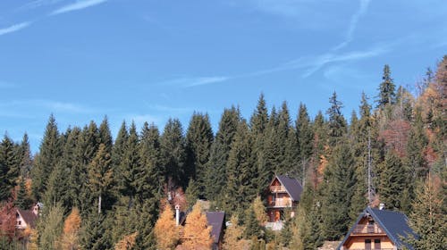 Pansion A&M Vlašić - Ljetna avantura na Vlašiću,  Babanovac, Bosna i Hercegovina - 153 EUR - 2x noćenje u dvokrevetnoj sobi za 2 osobe, Doručak