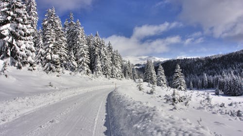 4 Seasons Vlašić Lux Apartmani - Zimski odmor na Vlašiću, Babanovac, Bosna i Hercegovina - 238 EUR - 3x noćenje u apartmanu za 4 odrasle osobe ili 2 odrasle osobe i 3 djece, Turistička pristojba