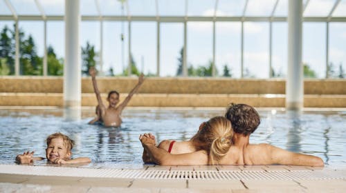 Wellness & Spa Apartmaji Bolfenk - Zima na Pohorju - Odmor tijekom tjedna, Pohorje, Slovenija - 229 EUR - 2x noćenje u Superior apartmanu s kaminom i s terasom ili balkonom za 4 osobe, Neograničeno korištenje WellNest unutarnjega bazena od 12 do 20 sati