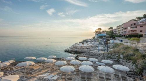 Vitality Hotel Punta - Obiteljski odmor na Lošinju, Veli Lošinj, Hrvatska - 314 EUR - 2x noćenje u dvokrevetnoj Standard sobi s pomoćnim ležajem park strana za 2 osobe (1 dijete do 11,99 godina i 1 dijete do 4,99 godina besplatno), Polupansion